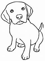 Kolorowanka Szczeniak Leukekleurplaten Kolorowanki Pies Honden Ladnekolorowanki Wszystkie Pokaż Coloringpage sketch template
