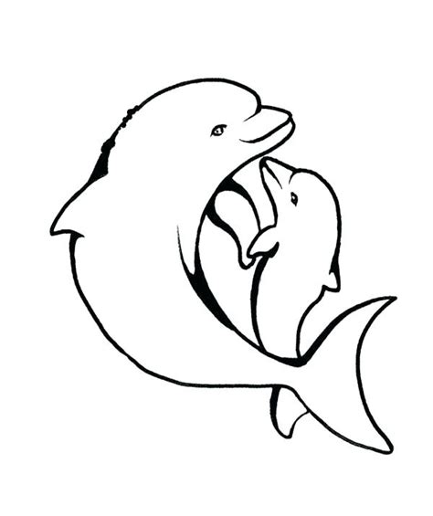 coloring pages  baby dolphins  getdrawings