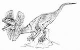 Dilophosaurus Rex Dinozauri Coloring Pages Template sketch template