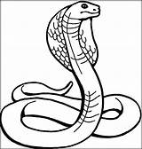 Coloring Cobra Pages Dangerous Animals King Snake Animal Snakes Color Kids Printable Colouring Cool Tattoo Sheets Shelby Drawing Print Coloringbay sketch template