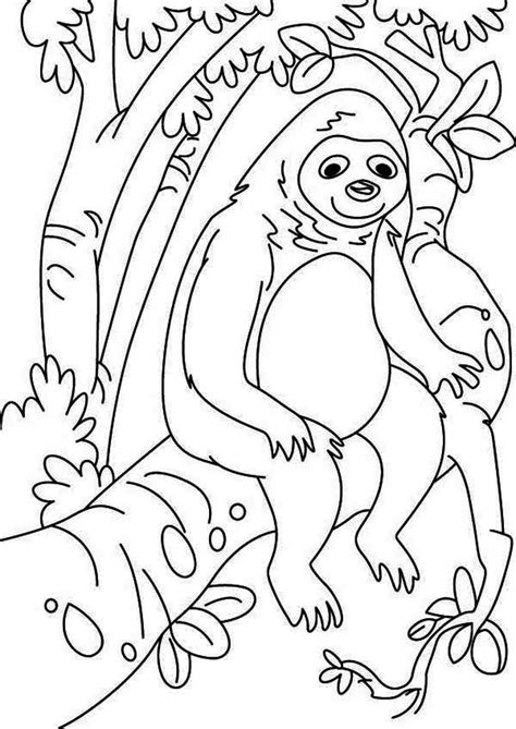 lazy animal sloth coloring page color luna