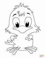 Chick Coloring Pages Baby Getcolorings Chocolate sketch template