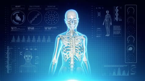 futuristic interface display  female body scan  human skeletal system anatomy walking