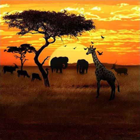 African Savvana Amazing Pic Africa Painting African