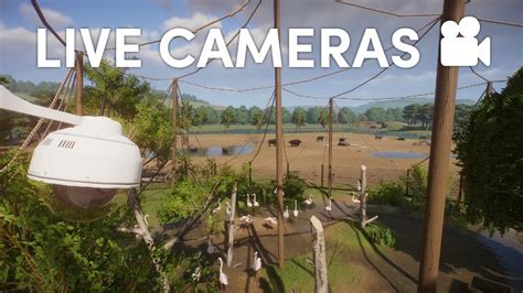 beekse bergen  cameras  camera   minutes planet zoo youtube
