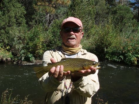 cimarron river  mexico fly fishing guide
