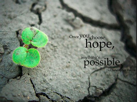 once you choose hope anything is possible christopher