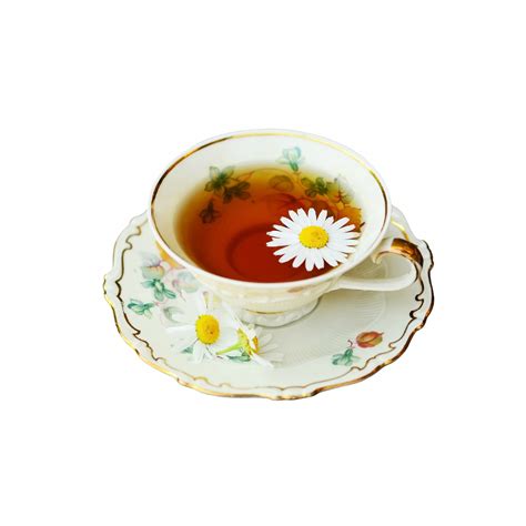 cup  tea isolated  stock photo public domain pictures