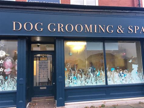 pin  life  dog grooming business dog grooming salons dog