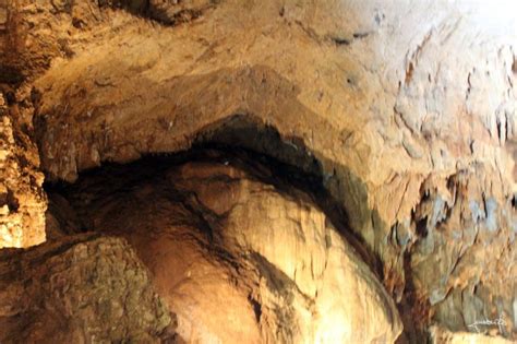 bats nest caves nest natural landmarks nature nest box naturaleza blanket forts nature