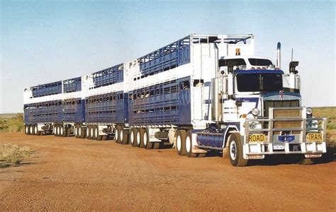 cattle trucks images  pinterest road train big trucks