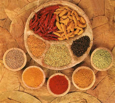 herbs  spices  fight  diseases boom