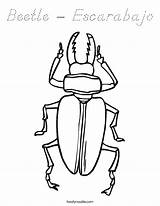 Beetle Escarabajo sketch template