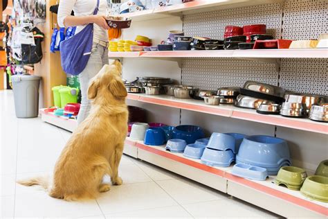 running    ecommerce pet store startup guide