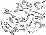 Sea Fish Deep Coloring Drawing Pages Dangerous Angler Outlines Creatures Color Kids Animals Viper Colouring Drawings Outline Animal Ocean Snake sketch template