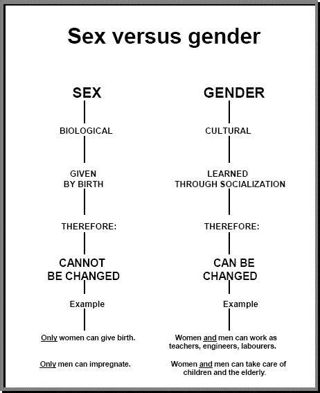 Difference Between Sex And Gender Kerstan 1995 31