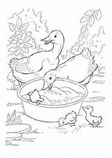 Duck Coloring Pages Ducklings Worksheets Animals Parentune Printable Books sketch template