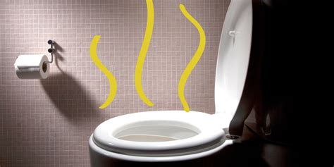 7 Causes Of Smelly Urine Self