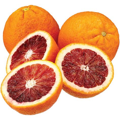 fresh blood orange shop citrus