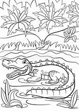 Animali Coloritura Siede Pagine Piccolo sketch template