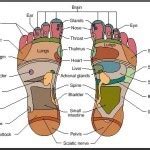 oriental foot massage   price  bengaluru  spa salon id