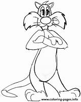 Sylvester Tunes Coloring Pages Looney Cat Drawing Draw Tweety Cartoons Printable Easy Step Drawings Lesson Steps sketch template