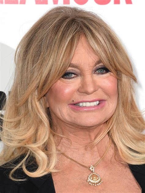 70 Fotos De Prensa De Goldie Hawn， Private Benjamin， Swing Shift 28420