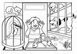 Coloring Pets Pages Pet Store Kids Animals Animal Sheets Children Drawing Preschool Farm Visit Find sketch template