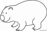 Wombat Coloringall sketch template