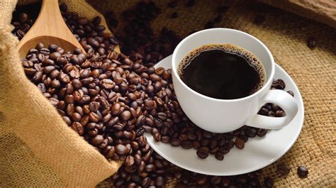 membuat kopi  enak  nikmat jual coffee maker  arut