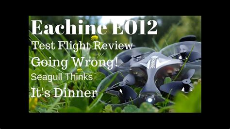 worlds smallest drone eachine  mini outdoor test flight review   tiny whoop killer