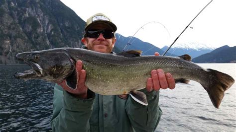 bull trout bc fishing reports pemberton fish finder