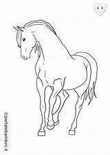 Cavalli Cavallo Portalebambini Stampare sketch template