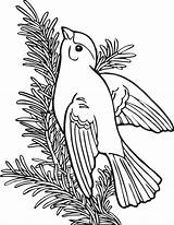 Kleurplaat Vogel Mammals Vogels Kleurplaten Finch Willow Goldfinch Docentenplein Eendjes sketch template