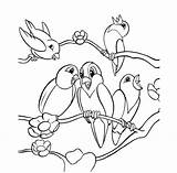 Sketsa Burung Mewarnai Lovebird Bagus Hasil sketch template