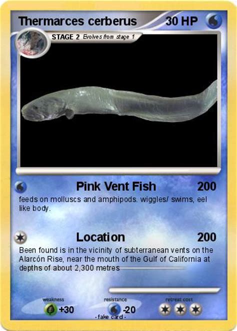 pokemon thermarces cerberus pink vent fish  pokemon card