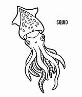 Squid Principessa Lula Ombrello Illustrazione Calamaro sketch template