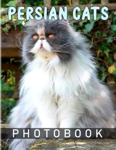 persian cats photo book photography book wth  awesome  beautiful