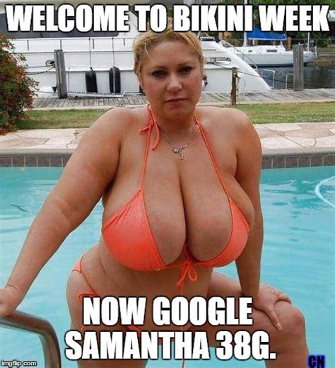 bikini week imgflip