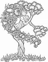 Coloring Pages Adult Tree Dover Color Book Trees sketch template