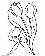 Coloring Flower Printable Pages Flowers Tulip Drawing Sheet sketch template
