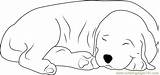 Sleeping Dog Coloring Pages Color Printable Coloringpages101 Dogs Animals Kids Template Sketch Online Mammals sketch template