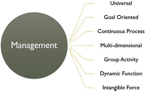 management definition characteristics levels  functions