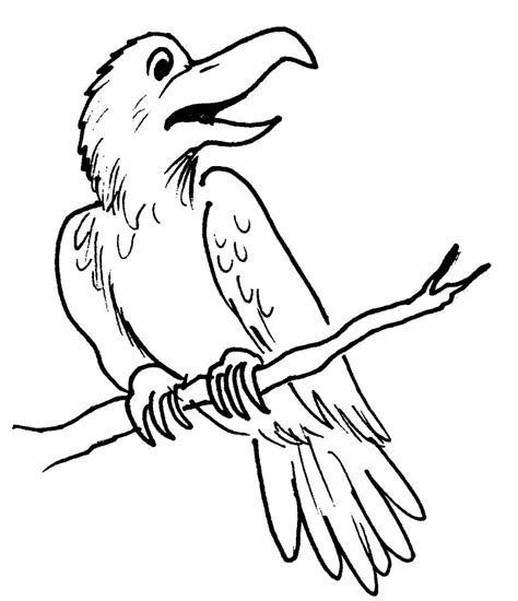 raven animals  printable coloring pages