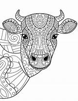 Cow Zentangle Horns Nino2 sketch template