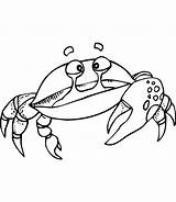Crabe Toupty Coloriageaimprimer Servir Dessus Fonctionnent Boutons Navigateur Peux Crustace sketch template