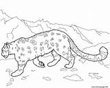 Leopard Snow Coloring Pages Leopards Baby Amur Colouring Printable Animal Clipart Template Kids Clouded Drawing Color Mountain Drawings Cat sketch template