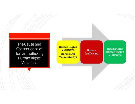 chapter 13 resources the cause and consequence of human trafficking