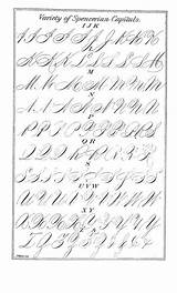 Spencerian Penmanship Handwriting Capitals Letters Copperplate Script Handschrift Schoene Resemblance Typographical Herunterladen Handlettering sketch template