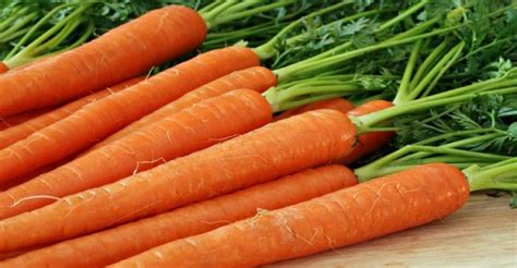 carotenoids  vitamin   zeaxanthin carotene